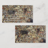 Fotografie van Taylor Creek Natuur Visitekaartje (Voorkant / Achterkant)