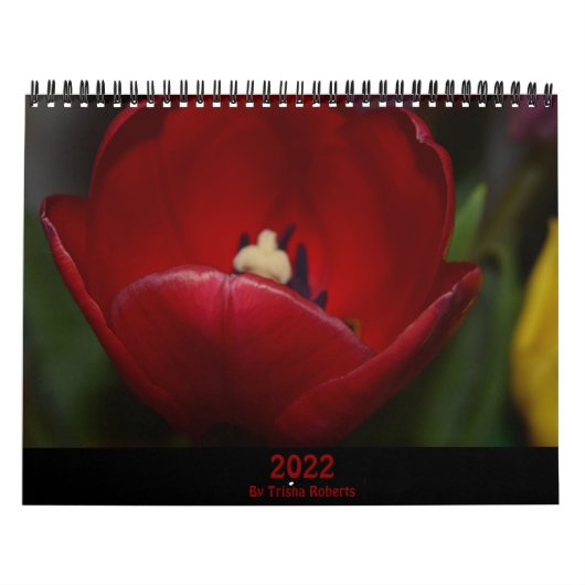 Fotografie van Trisha Roberts Calendar Kalender (Hoes)