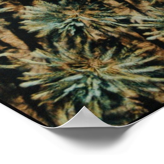 Fotografie van uitzicht van vogelsoorten op palmbo poster (Hoek)