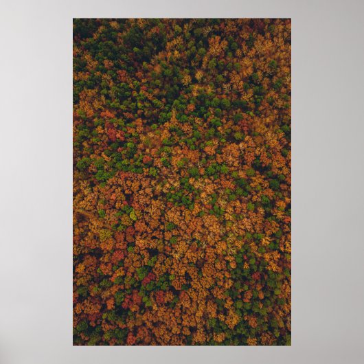 Fotografie van uitzicht vanuit de lucht poster (Voorkant)