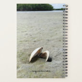 Fotografie van Whelk-schelp op op maat gemaakte pl Planner (Achterkant)