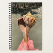 Fotografie van Whelk-schelp op op maat gemaakte pl Planner (Voorkant)