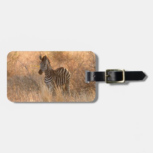 Fotografie van zebra wilde dieren Afrika Safari Bagagelabel (Voorkant horizontaal)