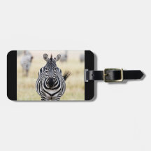 Fotografie van zebra wilde dieren Afrika Safari