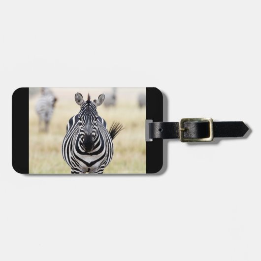 Fotografie van zebra wilde dieren Afrika Safari Bagagelabel (Voorkant horizontaal)