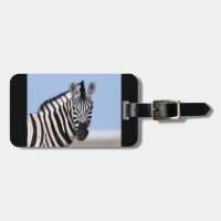 Fotografie van zebra wilde dieren Afrika Safari