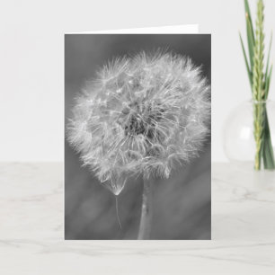 Fotografie van zwart-wit-andelion kaart