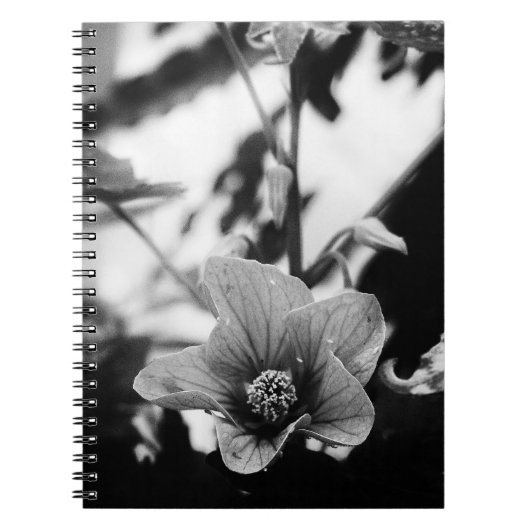 Fotografie van zwart-wit butilon notitieboek (Voorkant)