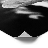 Fotografie van zwarte en witte Floral Poster (Hoek)