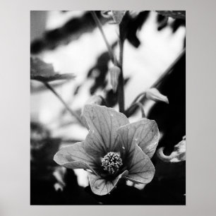 Fotografie van zwarte en witte Floral Poster