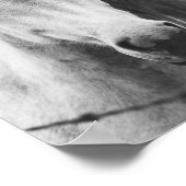 Fotografie van zwarte en witte paarden poster (Hoek)