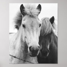 Fotografie van zwarte en witte paarden poster