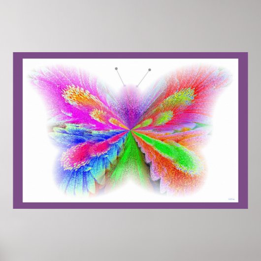 Fotografie vlakke Abstracte vlinderkunst Poster (Voorkant)