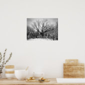 Fotografie voor de VERKOOP - Afdruk van gevroren b Poster (Keuken)