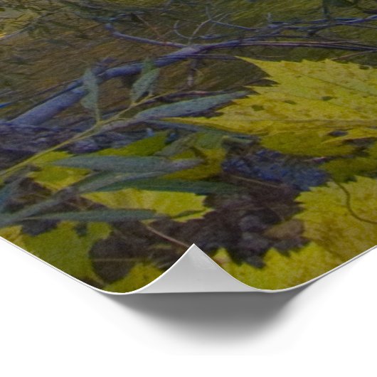 Fotografie voor de VERKOOP - Gnarled Tree-Prints Poster (Hoek)