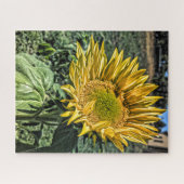 Fotografie voor zonnebloem met hoog dynamisch bere legpuzzel (Horizontaal)