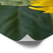 Fotografie Zonnebloemen in Natuur Gepersonaliseerd Poster (Hoek)