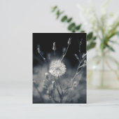 Fotografie zwart-wit Dandelion Briefkaart (Staand voorkant)