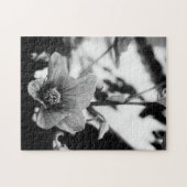 Fotografie zwart-wit legpuzzel (Horizontaal)