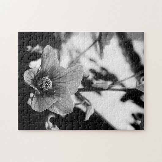 Fotografie zwart-wit legpuzzel (Horizontaal)