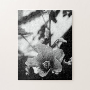 Fotografie zwart-wit legpuzzel