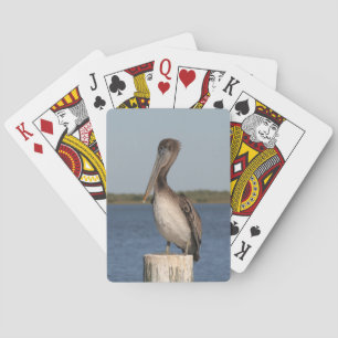 Fotografiedeck voor Pelican Speelkaarten