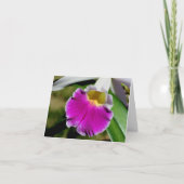 Fotografienoot van delicate orchidee bloem kaart (Voorkant)