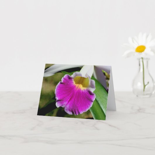 Fotografienoot van delicate orchidee bloem kaart (Kleine Plant)