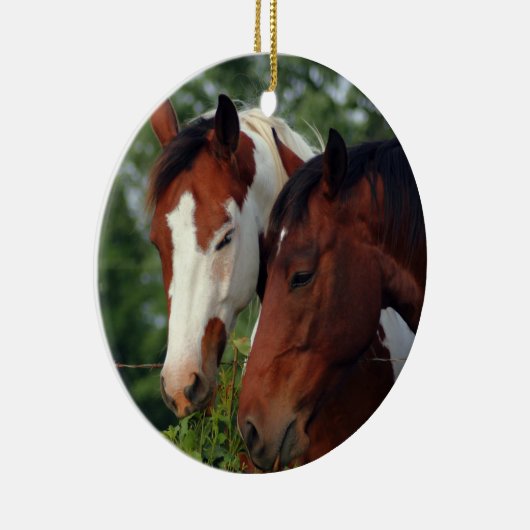 Fotografiepaard Keramisch Ornament (Rechts)