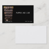 Fotografiet Corso Puppy Visitekaartje (Voorkant / Achterkant)