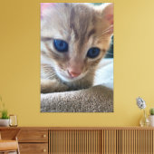 Fotografiqq muur art decor canvas afdruk (Insitu (Woonkamer))