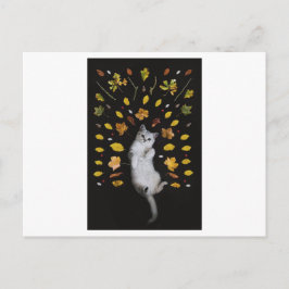 FOTOGRAFISCH BRIEFKAART VOOR KAT EN LEVEREN