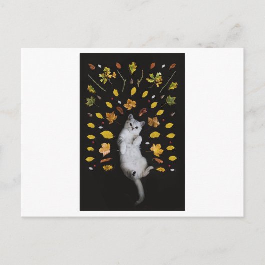 FOTOGRAFISCH BRIEFKAART VOOR KAT EN LEVEREN (Voorkant)