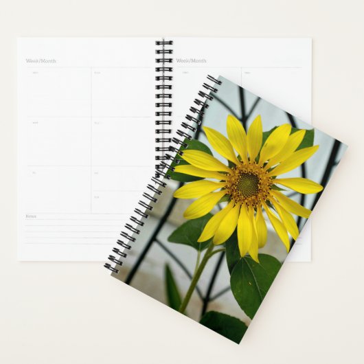 Fotografisch geel zonnebloempitaat planner (Display)