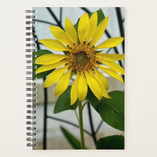 Fotografisch geel zonnebloempitaat planner (Voorkant)
