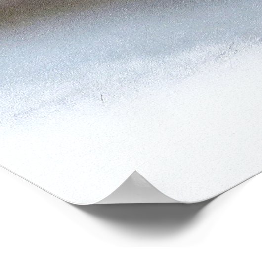 FOTOGRAFISCH POSTER KITTEN (Hoek)