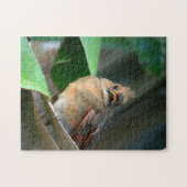 Fotografisch vormend kardinaal legpuzzel (Horizontaal)