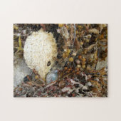 Fotografisch zee legpuzzel (Horizontaal)