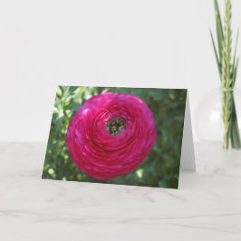 Fotografische aard kaart