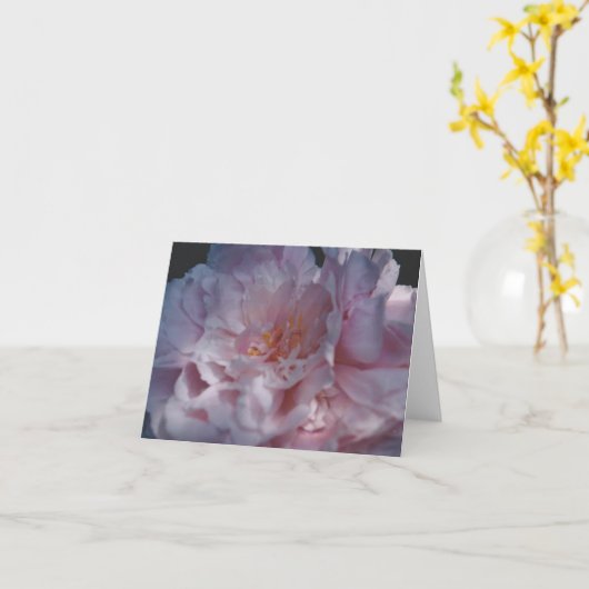 Fotografische aard kaart (Gele Bloem)