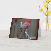 Fotografische aard kaart (Gele Bloem)