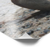 Fotografische afdruk op de grond (Hoek)