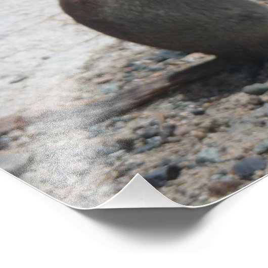 Fotografische afdruk op de grond (Hoek)