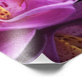 Fotografische afdruk orchidee (Hoek)