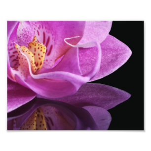 Fotografische afdruk orchidee