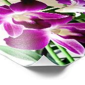 Fotografische afdruk Paarse Orchideeën (Hoek)