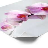 Fotografische afdruk Roze Orchideeën (Hoek)