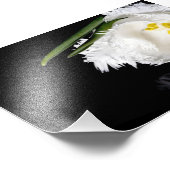 Fotografische afdruk Tulp (Hoek)