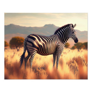 Fotografische afdruk-Zebra Foto Afdruk