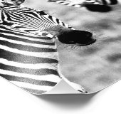 Fotografische afdruk zebra's (Hoek)